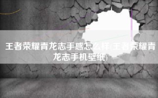 王者荣耀青龙志手感怎么样(王者荣耀青龙志手机壁纸)