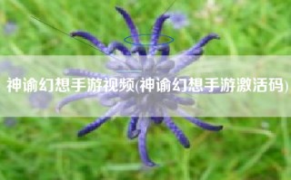 神谕幻想手游视频(神谕幻想手游激活码)