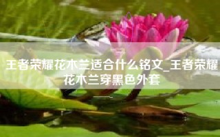 王者荣耀花木兰适合什么铭文_王者荣耀花木兰穿黑色外套