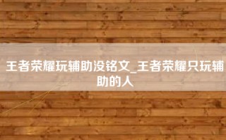 王者荣耀玩辅助没铭文_王者荣耀只玩辅助的人