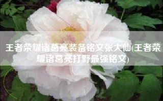 王者荣耀诸葛亮装备铭文张大仙(王者荣耀诸葛亮打野最强铭文)