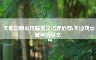天地劫幽城再临英灵培养推荐(天地劫幽城再临英文)