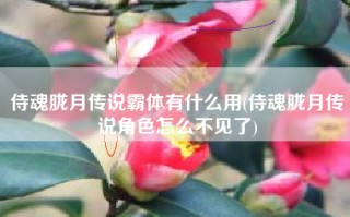 侍魂胧月传说霸体有什么用(侍魂胧月传说角色怎么不见了)