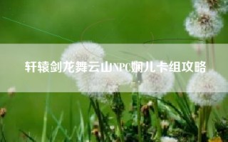 轩辕剑龙舞云山NPC娴儿卡组攻略