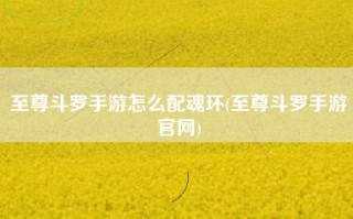 至尊斗罗手游怎么配魂环(至尊斗罗手游官网)