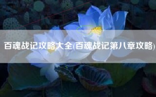 百魂战记攻略大全(百魂战记第八章攻略)