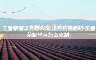 王者荣耀芈月怎么玩 芈月玩法思路(王者荣耀芈月怎么克制)
