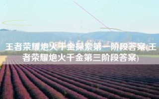 王者荣耀炮火千金探索第一阶段答案(王者荣耀炮火千金第三阶段答案)