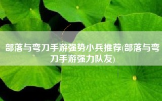 部落与弯刀手游强势小兵推荐(部落与弯刀手游强力队友)
