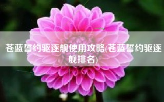 苍蓝誓约驱逐舰使用攻略(苍蓝誓约驱逐舰排名)