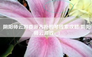 阴阳师云游委派古朴的琴线索攻略(阴阳师云游戏)_1