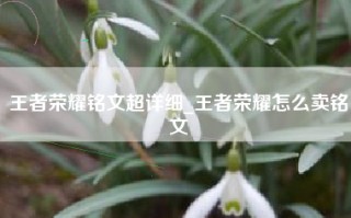王者荣耀铭文超详细_王者荣耀怎么卖铭文