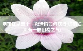 烟雨江湖双十一激活码如何获得(烟雨江湖有一股阴寒之气)