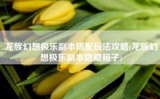 龙族幻想极乐副本搭配玩法攻略(龙族幻想极乐副本隐藏箱子)