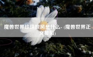 魔兽世界珍珠披风是什么- (魔兽世界正义披风)