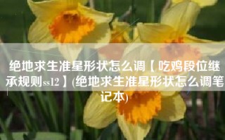 绝地求生准星形状怎么调【吃鸡段位继承规则ss12】(绝地求生准星形状怎么调笔记本)