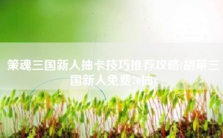 策魂三国新人抽卡技巧推荐攻略(胡莱三国新人免费70抽)