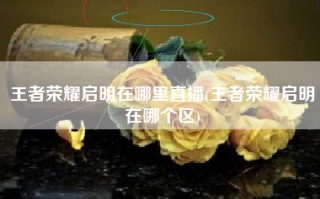 王者荣耀启明在哪里直播(王者荣耀启明在哪个区)