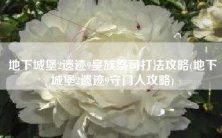 地下城堡2遗迹9皇族祭司打法攻略(地下城堡2遗迹9守门人攻略)