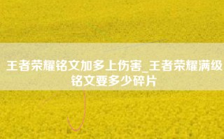 王者荣耀铭文加多上伤害_王者荣耀满级铭文要多少碎片