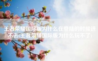 王者荣耀国际版为什么在登陆的时候进不去(王者荣耀国际版为什么玩不了)