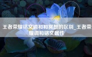 王者荣耀铭文调和和冥想的区别_王者荣耀调和铭文属性