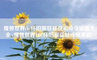 魔兽世界tbc怀旧服狂暴战宏命令设置大全 (魔兽世界TBC怀旧服盗贼练级天赋)