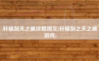 轩辕剑天之痕攻略图文(轩辕剑之天之痕游戏)