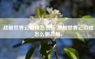 战舰世界云游戏怎么玩(战舰世界云游戏怎么删战舰)