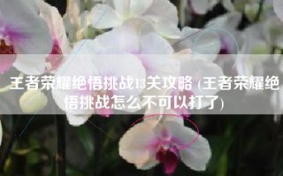 王者荣耀绝悟挑战13关攻略 (王者荣耀绝悟挑战怎么不可以打了)