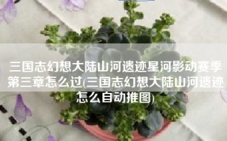 三国志幻想大陆山河遗迹星河影动赛季第三章怎么过(三国志幻想大陆山河遗迹怎么自动推图)