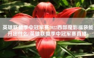 英雄联盟季中冠军赛2022西部魔影福袋能开出什么(英雄联盟季中冠军赛直播)
