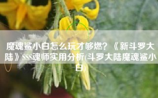 魔魂鲨小白怎么玩才够燃？《新斗罗大陆》SSS魂师实用分析(斗罗大陆魔魂鲨小白)