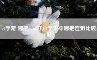 cf手游 哪把awm好,CF手游中哪把连狙比较好
