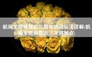 航海王燃烧意志三周年活动玩法详解(航海王燃烧意志三大将加点)