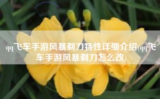qq飞车手游风暴剃刀特性详细介绍(qq飞车手游风暴剃刀怎么改)