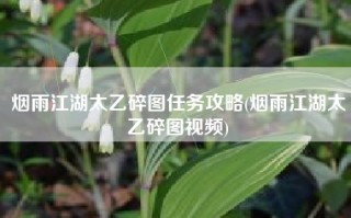 烟雨江湖太乙碎图任务攻略(烟雨江湖太乙碎图视频)