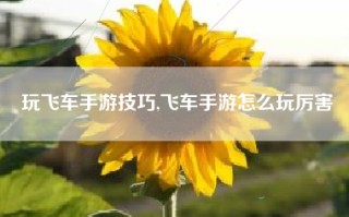 玩飞车手游技巧,飞车手游怎么玩厉害