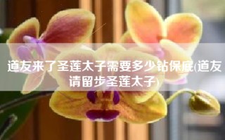 道友来了圣莲太子需要多少钻保底(道友请留步圣莲太子)