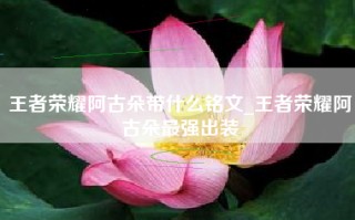 王者荣耀阿古朵带什么铭文_王者荣耀阿古朵最强出装