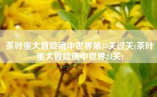 茶叶蛋大冒险镜中世界第35关过关(茶叶蛋大冒险镜中世界24关)