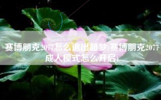 赛博朋克2077怎么退出超梦(赛博朋克2077成人模式怎么开启)