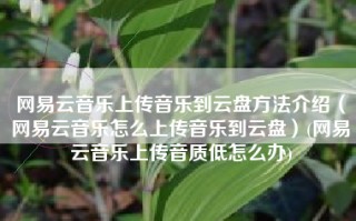 网易云音乐上传音乐到云盘方法介绍（网易云音乐怎么上传音乐到云盘）(网易云音乐上传音质低怎么办)