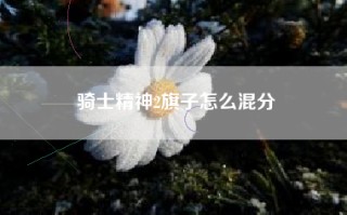 骑士精神2旗子怎么混分