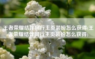 王者荣耀结伴同行主页装扮怎么获得(王者荣耀结伴同行主页装扮怎么获得)