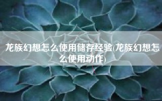 龙族幻想怎么使用储存经验(龙族幻想怎么使用动作)