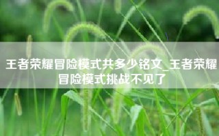 王者荣耀冒险模式共多少铭文_王者荣耀冒险模式挑战不见了