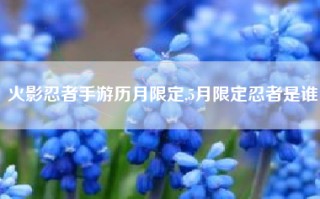 火影忍者手游历月限定,5月限定忍者是谁