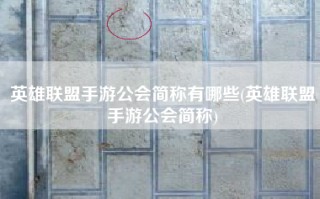 英雄联盟手游公会简称有哪些(英雄联盟手游公会简称)