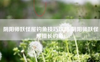 阴阳师妖怪屋钓鱼技巧攻略(阴阳师妖怪屋擅长钓鱼)